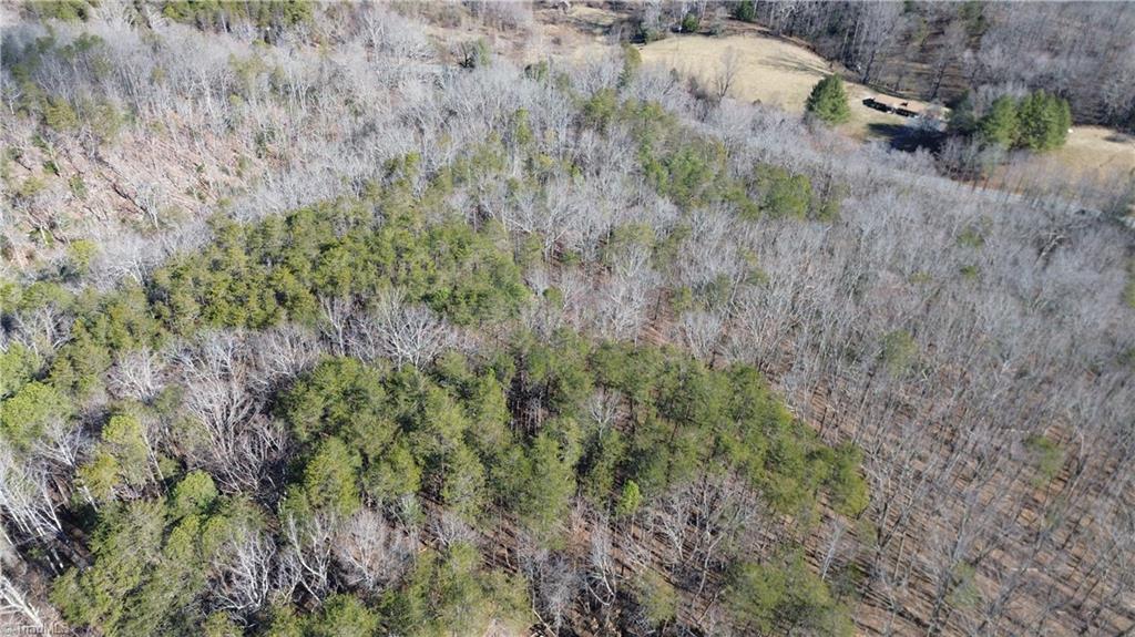 Tract G Hanging Rock Forest Road, Unit G Danbury, NC 27016 - Photo 5 of 23