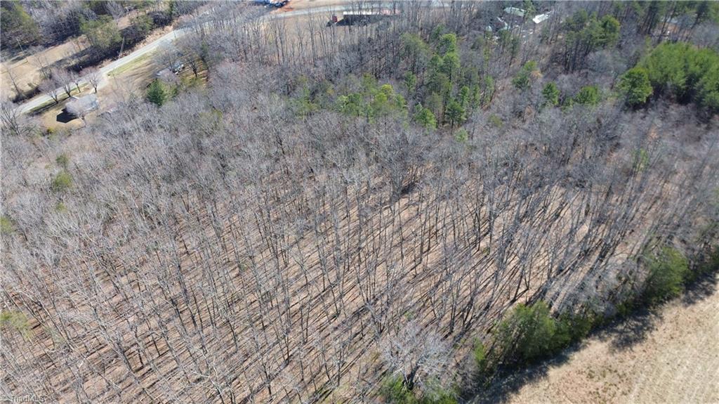 Tract G Hanging Rock Forest Road, Unit G Danbury, NC 27016 - Photo 6 of 23