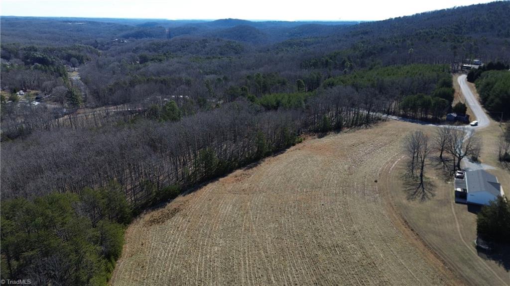 Tract G Hanging Rock Forest Road, Unit G Danbury, NC 27016 - Photo 7 of 23