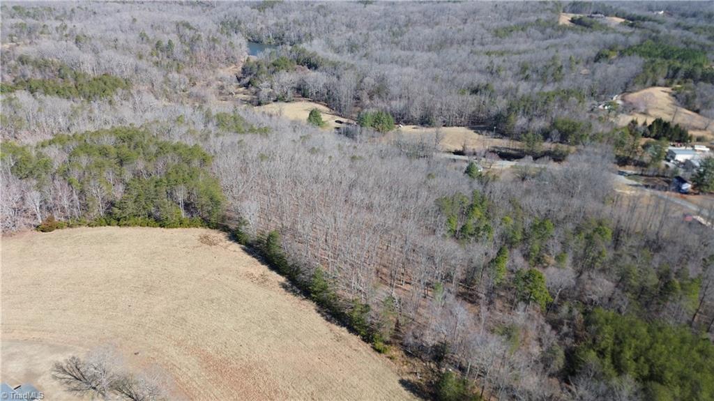 Tract G Hanging Rock Forest Road, Unit G Danbury, NC 27016 - Photo 10 of 23