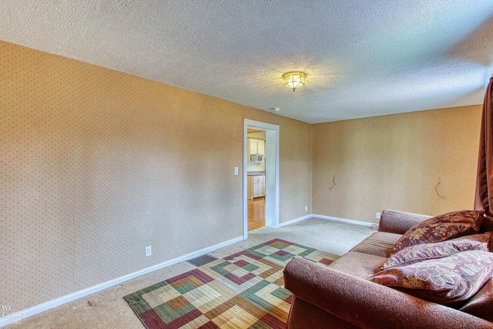 118 Turner Street Romeo, MI 48065 - Photo 22 of 45 50134567-a583456d-3265-419d-a5eb-d6454cf742e5.JPG