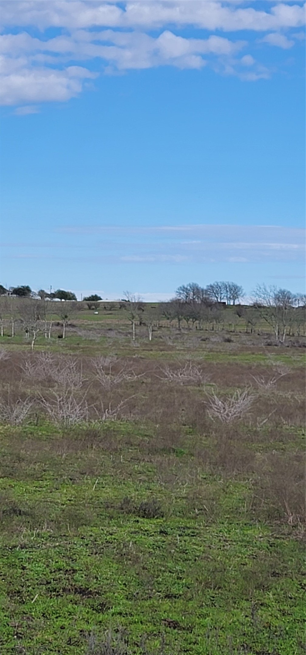 2142 Helm Road Burton, TX 77835 - Photo 3 of 7 a view of an ocean