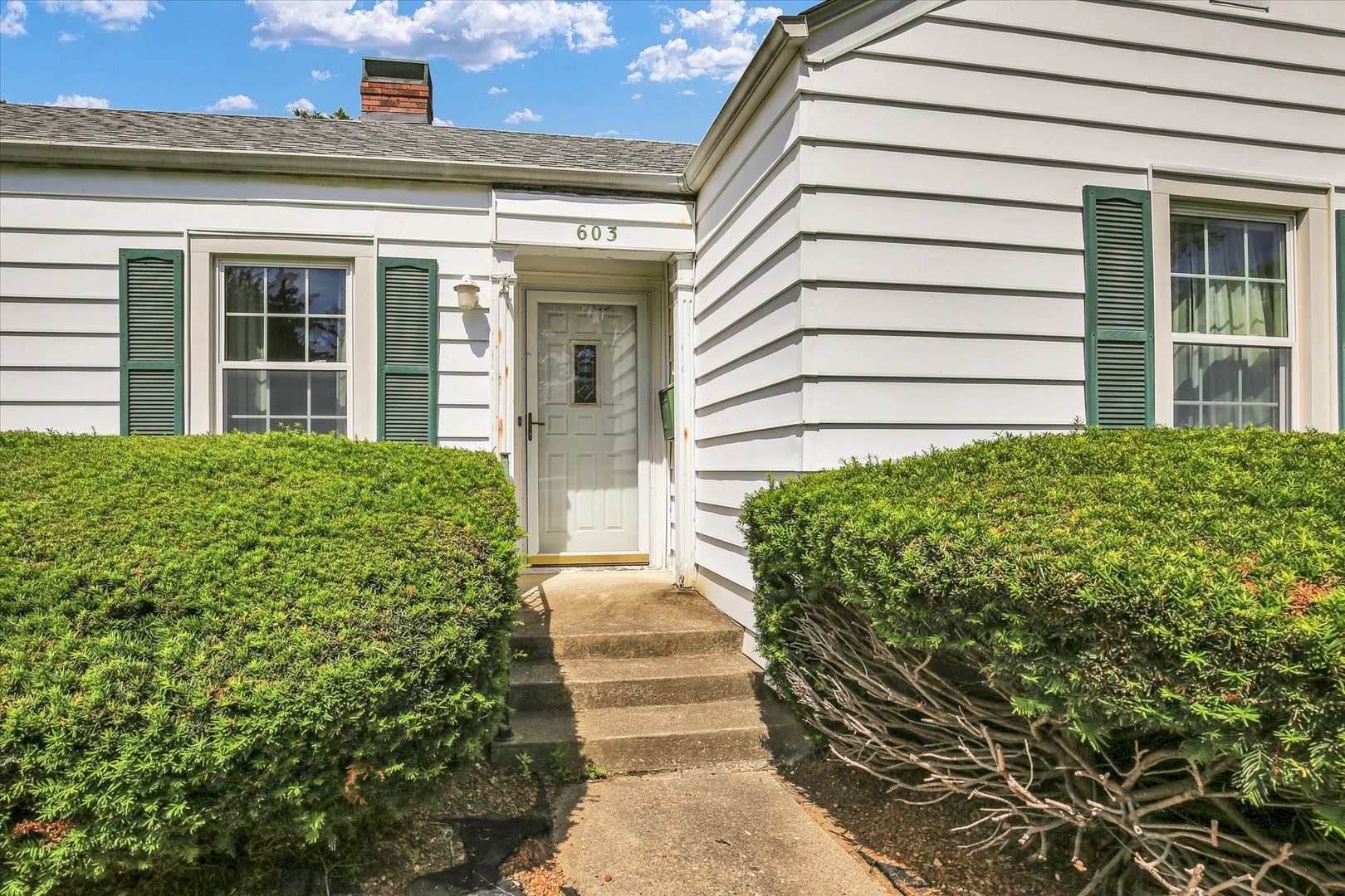 603 South Russell Street Champaign, IL 61821 - Photo 10 of 34