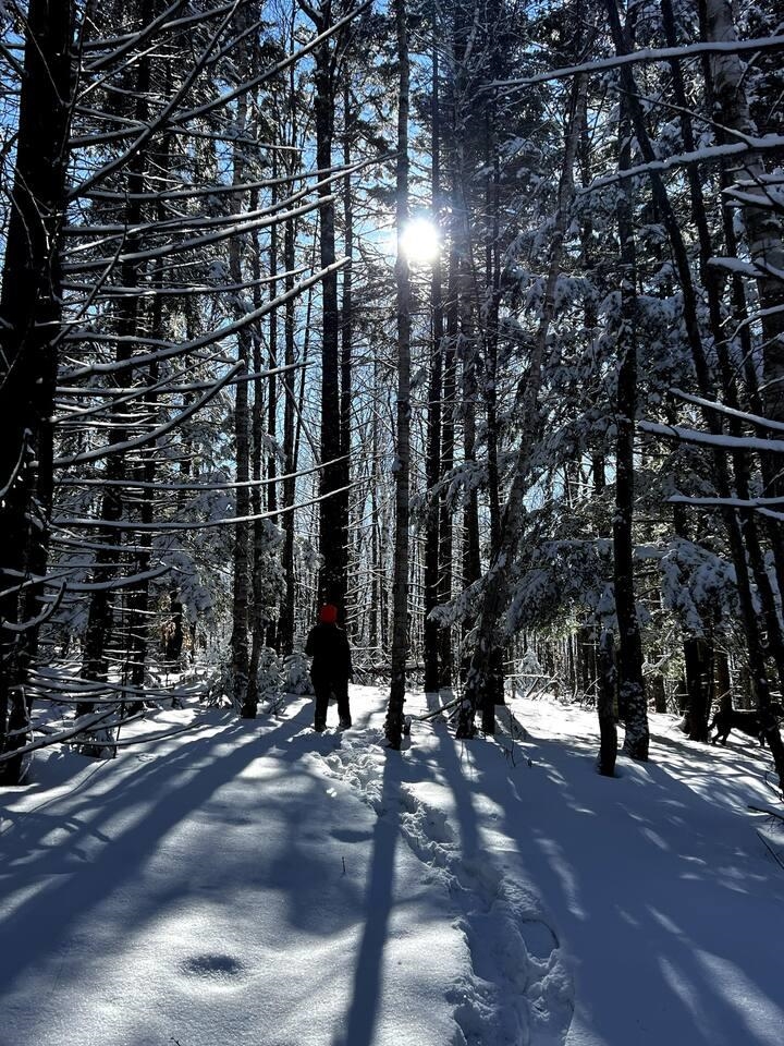 51 Rushford Valley Road Montgomery, VT 05471 - Photo 39 of 53