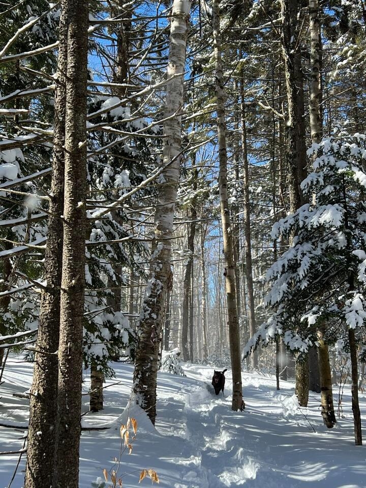 51 Rushford Valley Road Montgomery, VT 05471 - Photo 40 of 53