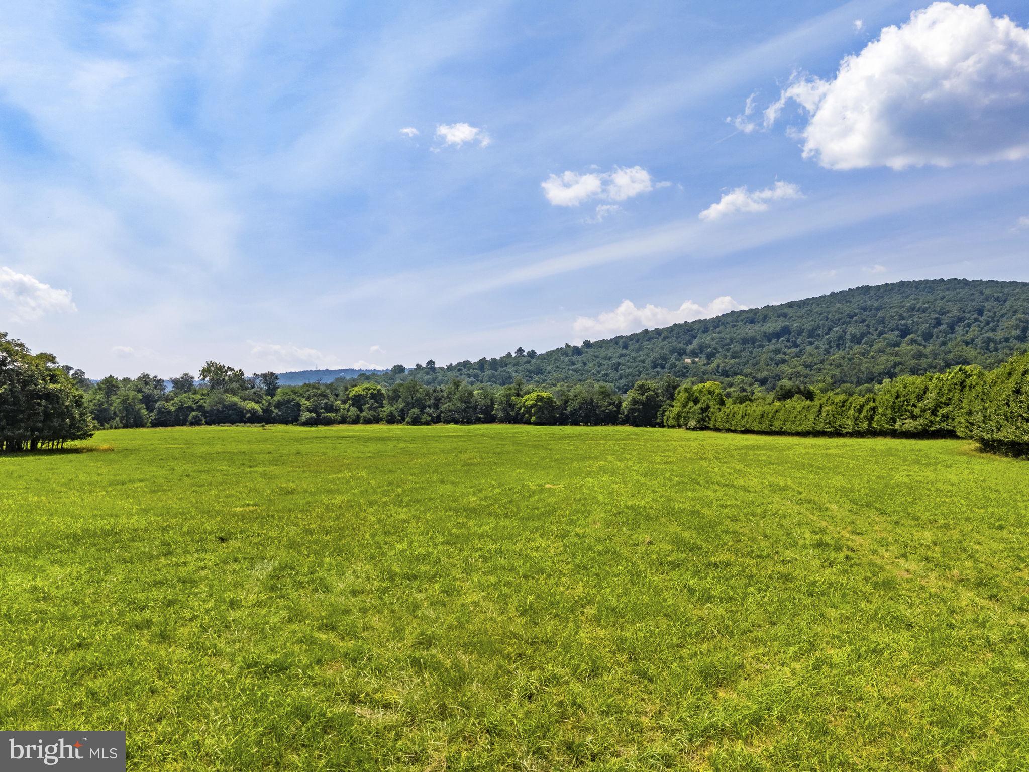 0 Austin Grove Road Bluemont, VA 20135 - Photo 23 of 43 Gallery Image 23