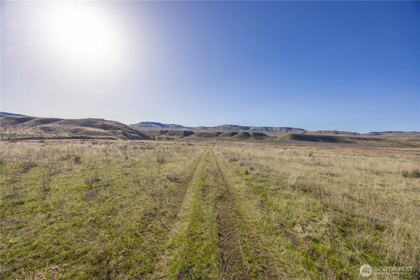 1163 Strahl Canyon Road Grand Coulee, WA 99133 - Photo 38 of 40