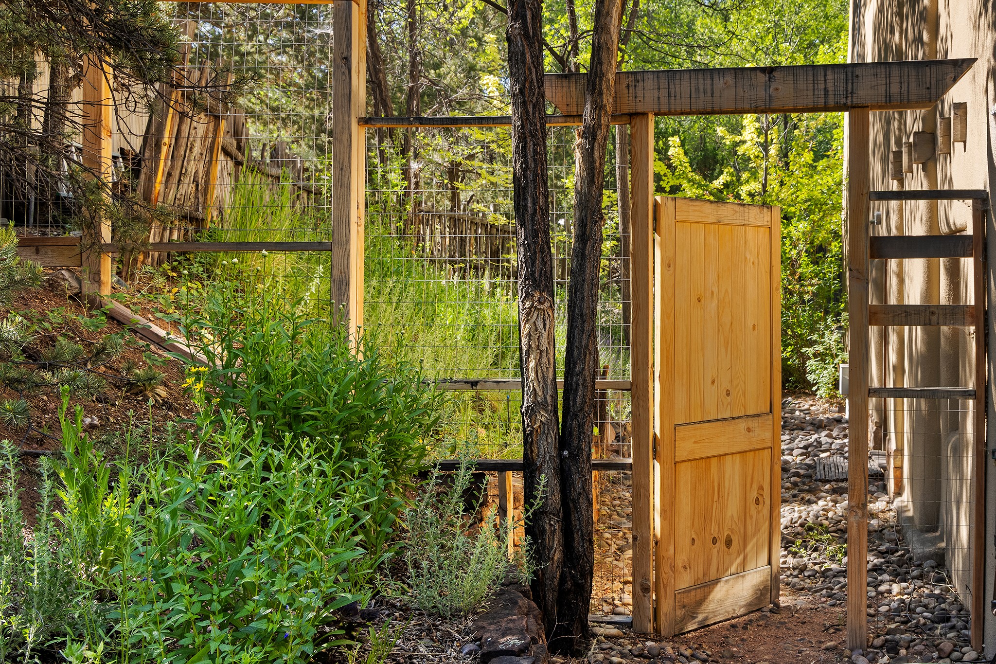 1330 Bishops Lodge Road Santa Fe, NM 87506 - Photo 51 of 54