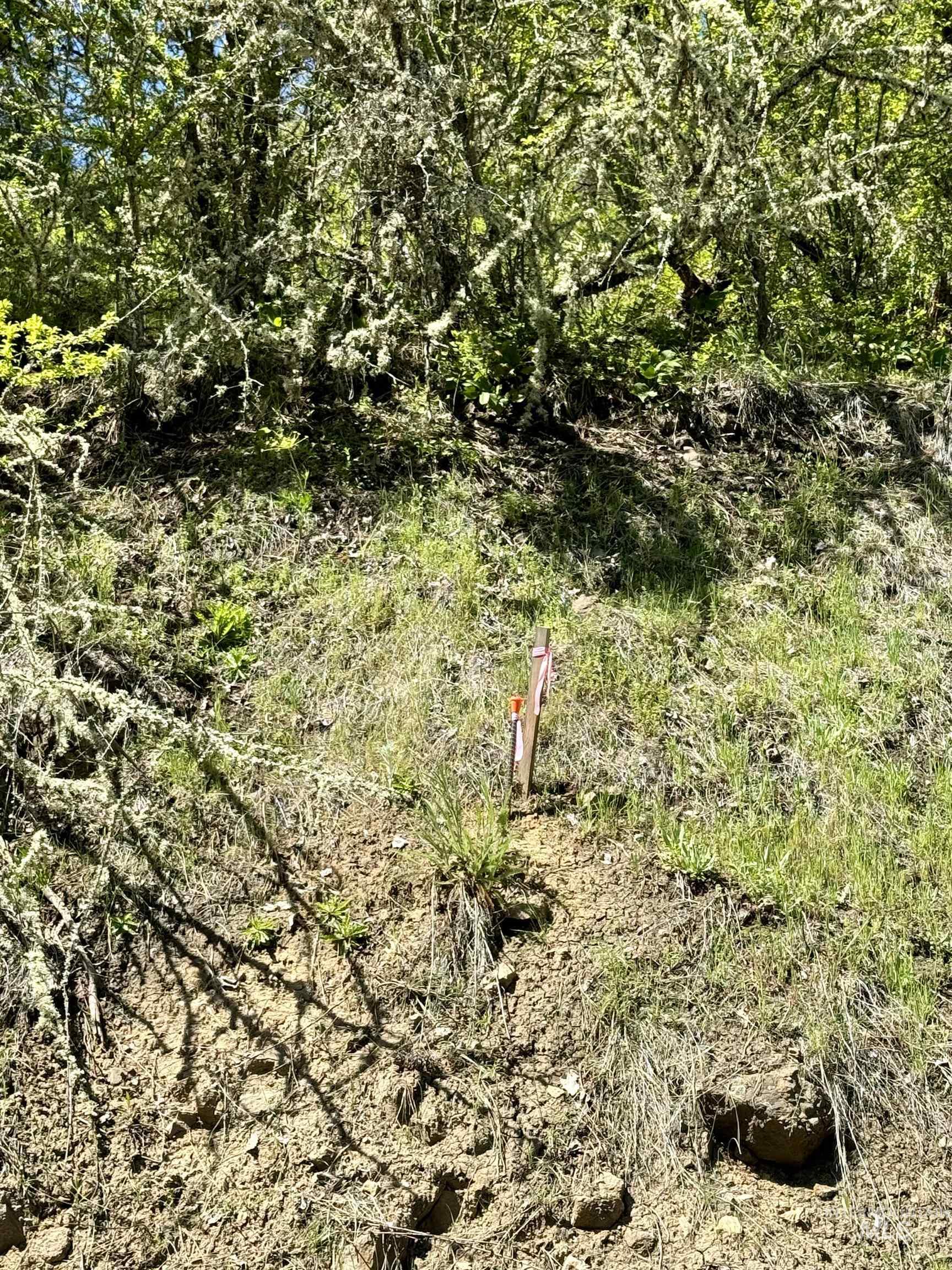 Tbd Lukes Gulch Road Stites, ID 83552 - Photo 11 of 14