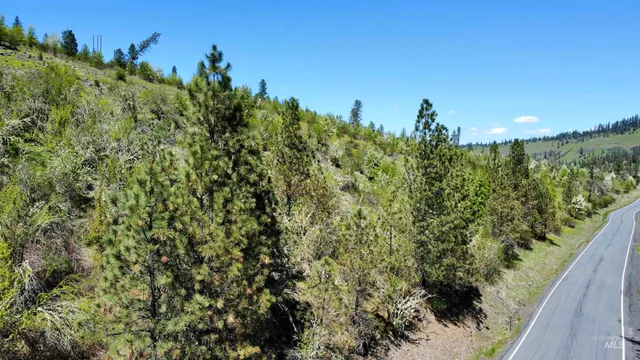 $74,000 | Tbd Lukes Gulch Road, Stites, ID 83552