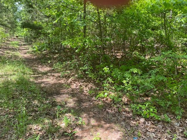 Lot 0000 Center Hill Road Finger, TN 38334 - Photo 4 of 6 Photo 4