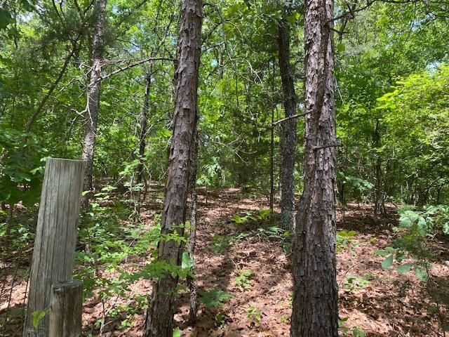 Lot 0000 Center Hill Road Finger, TN 38334 - Photo 5 of 6 Photo 5