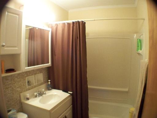 2333 175th Street Homewood, IL 60430 - Photo 8 of 11 a bathroom with a sink and mirror