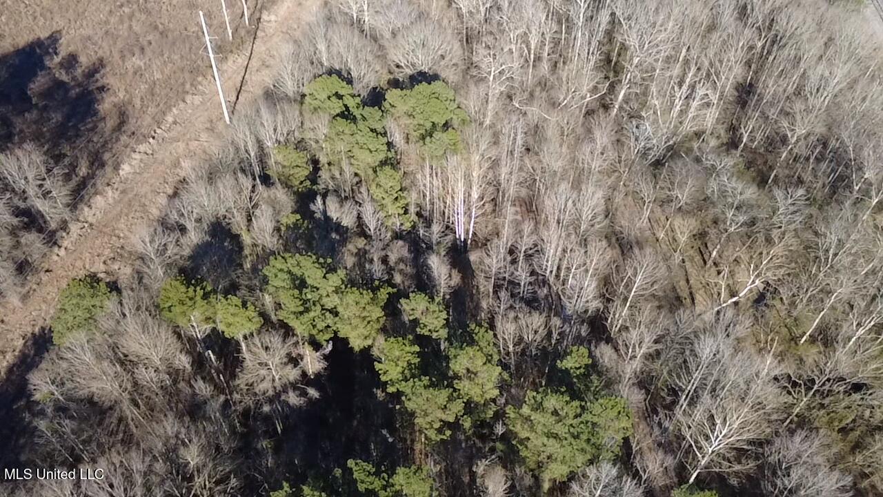 0 Morton-rankin Morton-Rankin County Line Road Morton, MS 39117 - Photo 11 of 35 2026-02-06-15-25-51-662