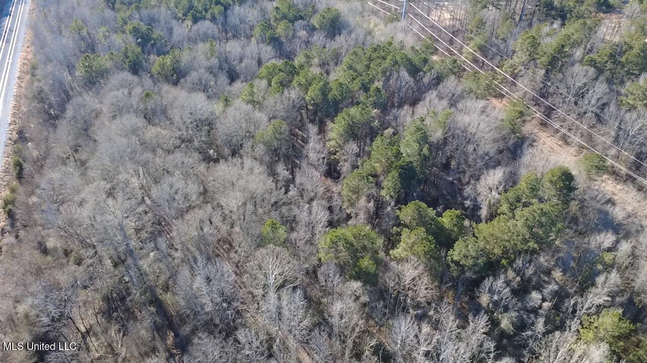 0 Morton-rankin Morton-Rankin County Line Road Morton, MS 39117 - Photo 14 of 35 2026-02-06-15-29-08-004
