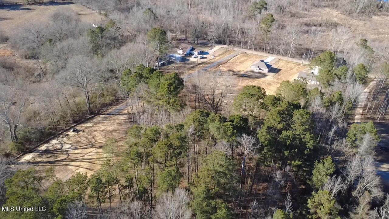 0 Morton-rankin Morton-Rankin County Line Road Morton, MS 39117 - Photo 15 of 35 2026-02-06-15-30-11-465