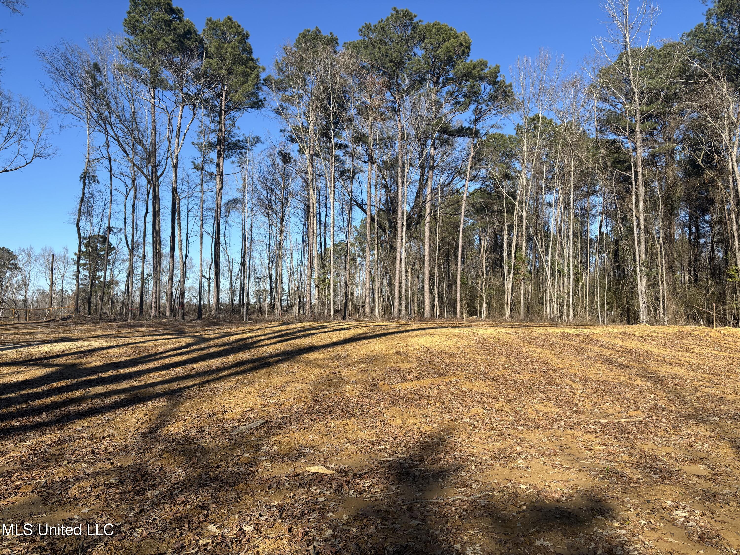 0 Morton-rankin Morton-Rankin County Line Road Morton, MS 39117 - Photo 21 of 35 IMG_3870