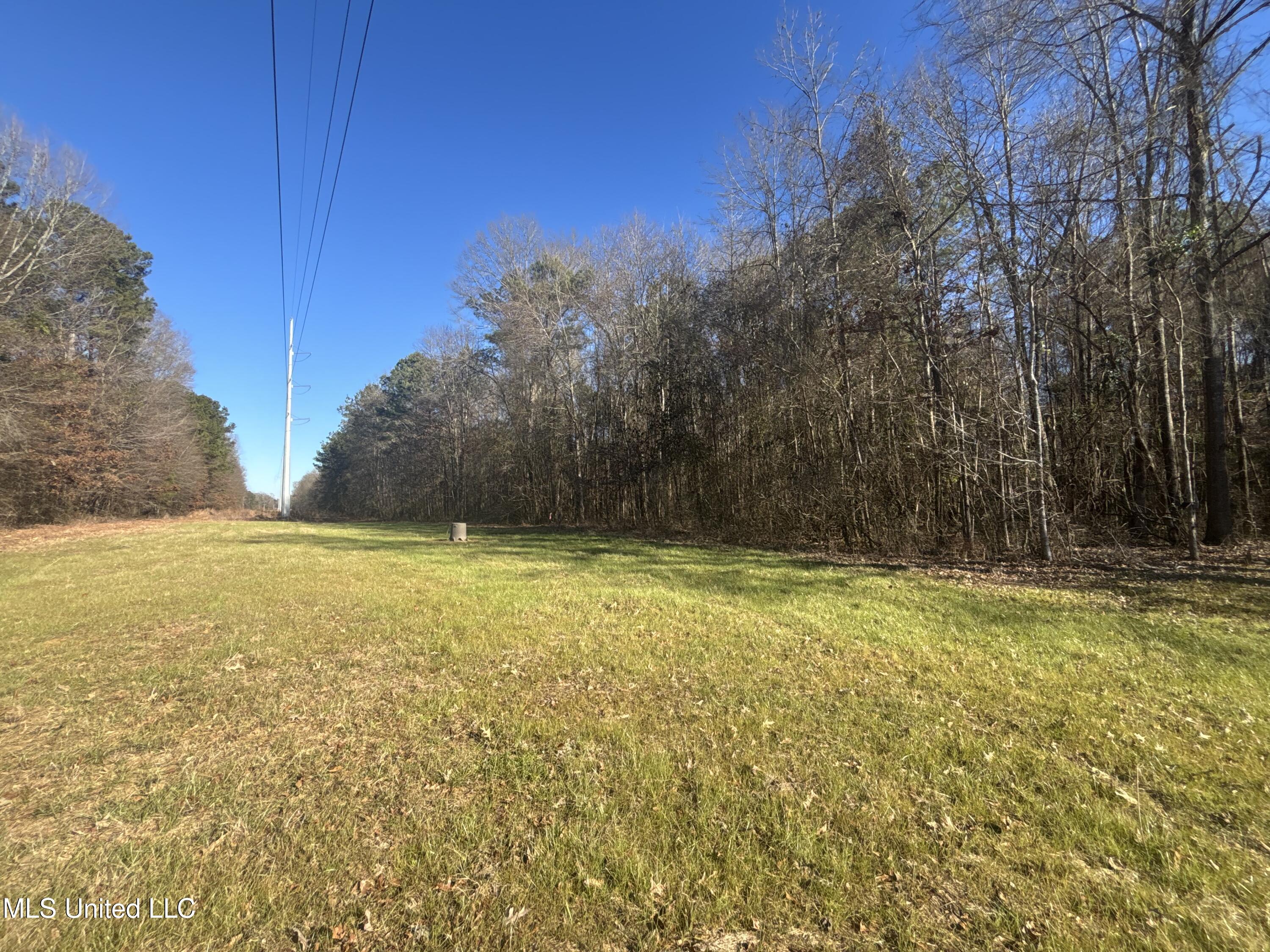 0 Morton-rankin Morton-Rankin County Line Road Morton, MS 39117 - Photo 26 of 35 IMG_3897