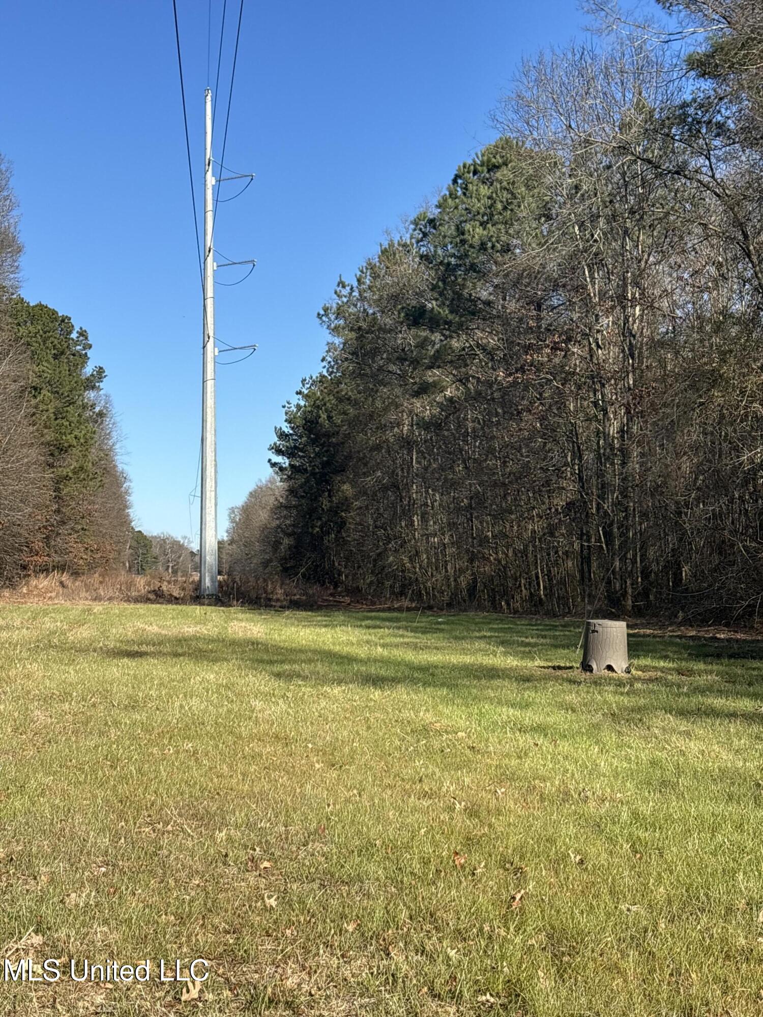 0 Morton-rankin Morton-Rankin County Line Road Morton, MS 39117 - Photo 27 of 35 IMG_3899