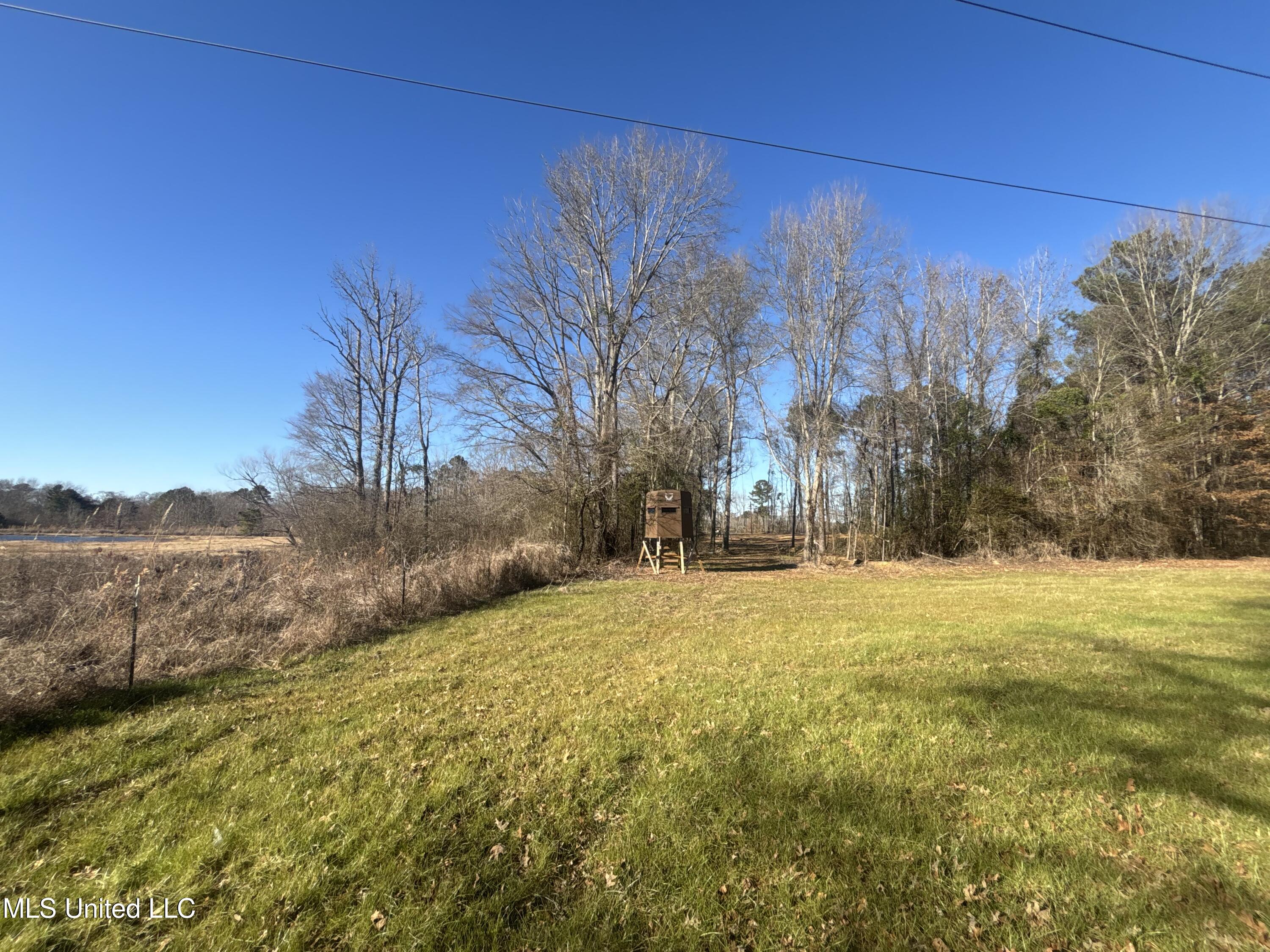 0 Morton-rankin Morton-Rankin County Line Road Morton, MS 39117 - Photo 29 of 35 IMG_3906