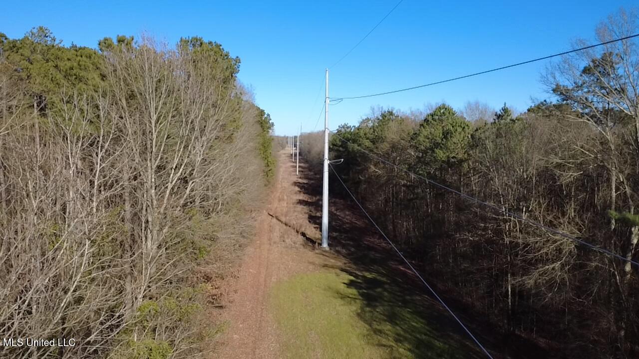 0 Morton-rankin Morton-Rankin County Line Road Morton, MS 39117 - Photo 3 of 35 2026-02-06-15-21-21-767