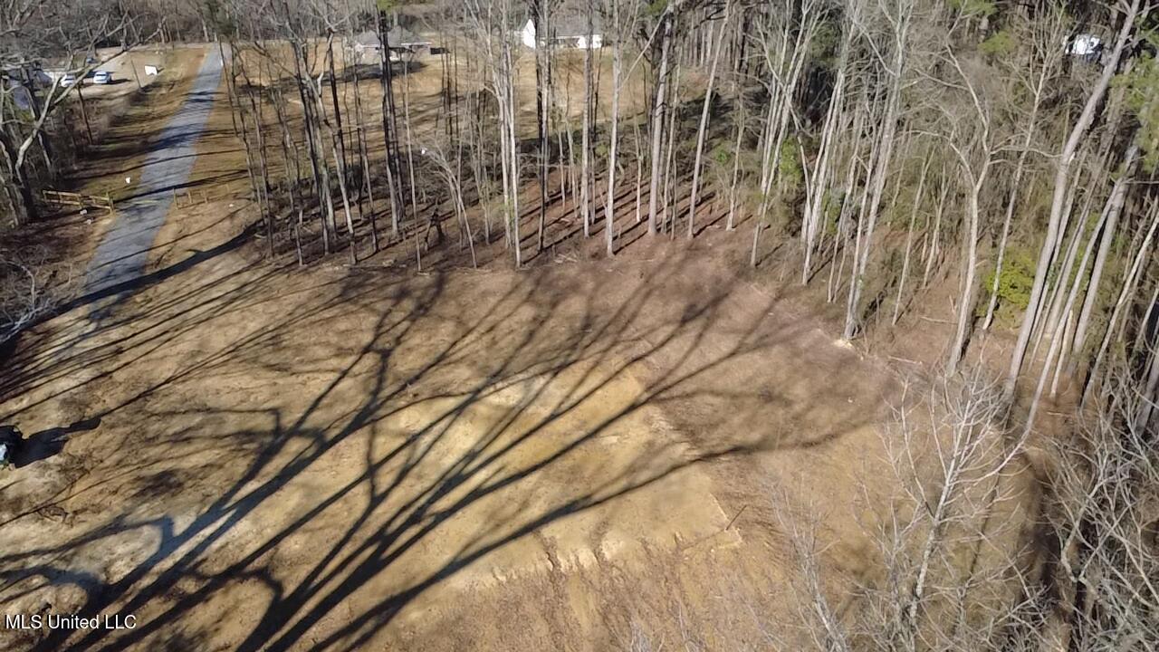 0 Morton-rankin Morton-Rankin County Line Road Morton, MS 39117 - Photo 4 of 35 2026-02-06-15-22-39-920