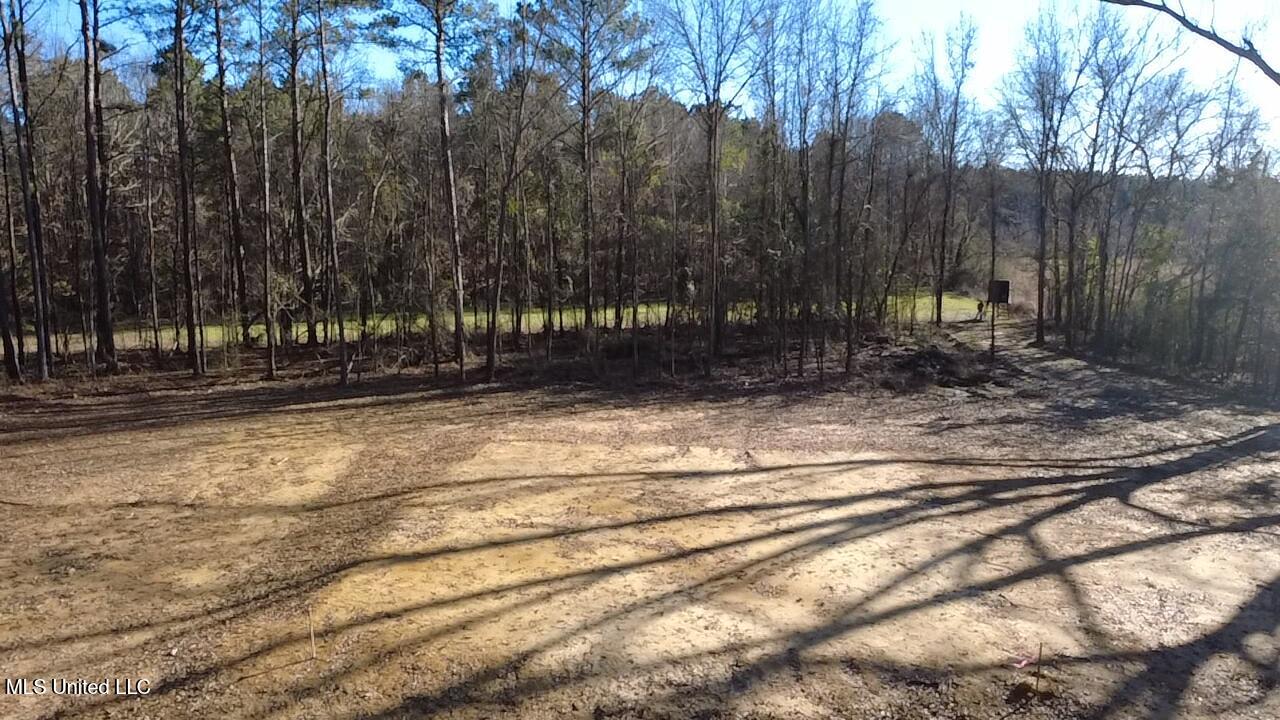 0 Morton-rankin Morton-Rankin County Line Road Morton, MS 39117 - Photo 6 of 35 2026-02-06-15-23-37-653
