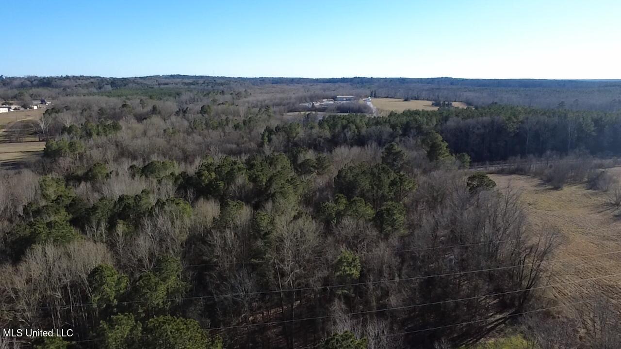 0 Morton-rankin Morton-Rankin County Line Road Morton, MS 39117 - Photo 7 of 35 2026-02-06-15-24-23-144