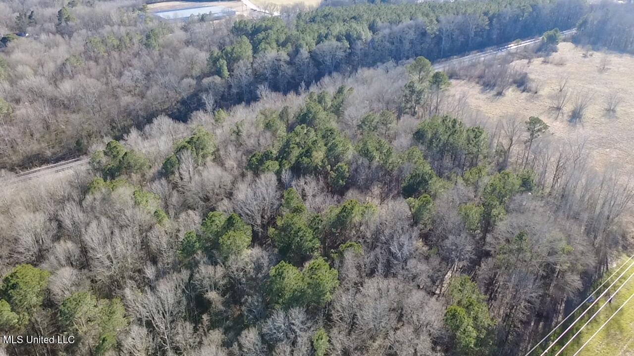 0 Morton-rankin Morton-Rankin County Line Road Morton, MS 39117 - Photo 8 of 35 2026-02-06-15-24-59-045