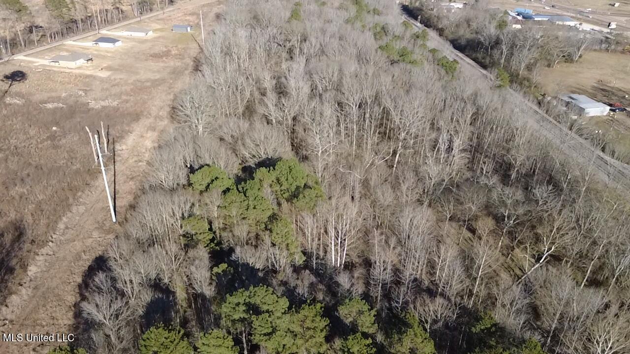 0 Morton-rankin Morton-Rankin County Line Road Morton, MS 39117 - Photo 9 of 35 2026-02-06-15-25-23-330