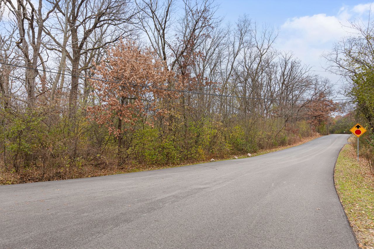 307 Forest View Drive Lake Bluff, IL 60044 - Photo 8 of 11 a view of a yard with a tree