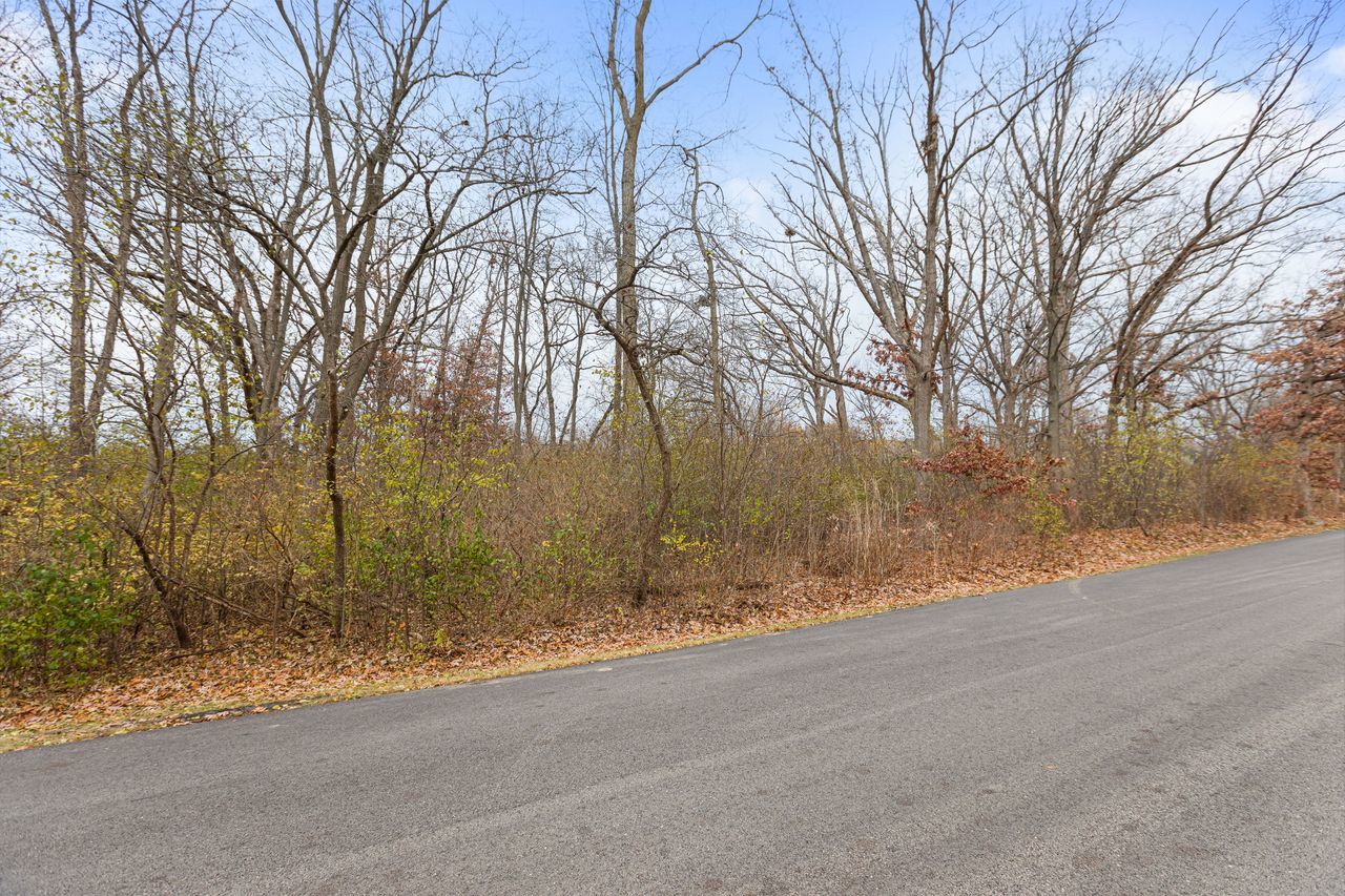 307 Forest View Drive Lake Bluff, IL 60044 - Photo 9 of 11 a backyard of a house with trees