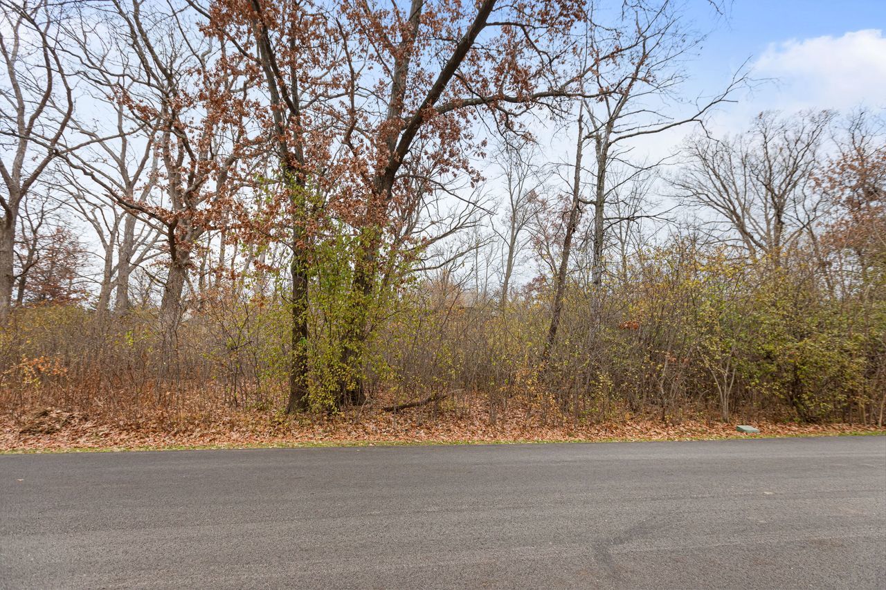 307 Forest View Drive Lake Bluff, IL 60044 - Photo 10 of 11