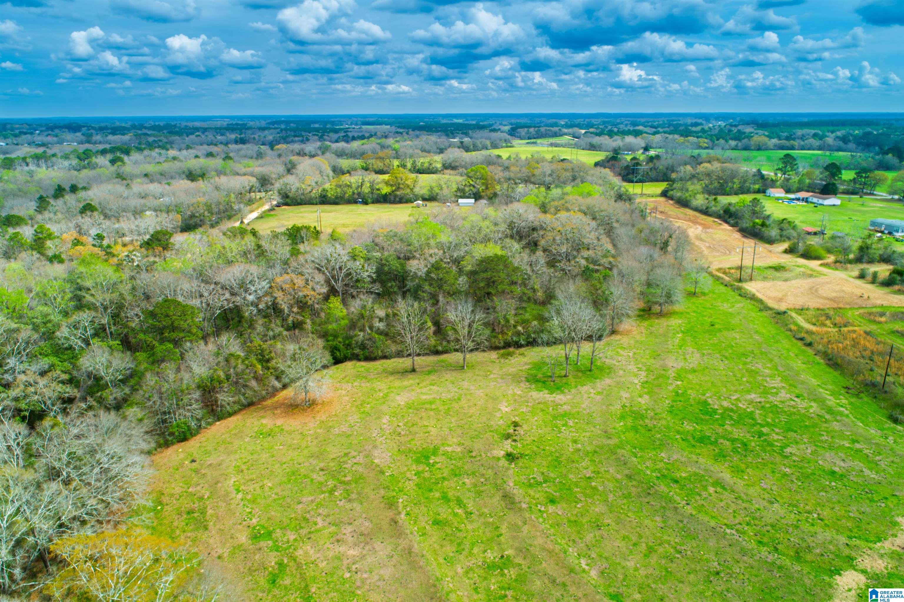 27180 Deer Run Road Opp, AL 36467 - Photo 11 of 60