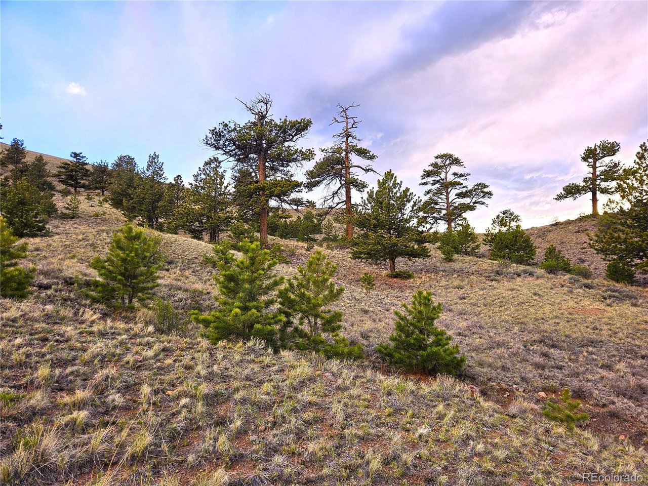 25427 Yuma Road Hartsel, CO 80449 - Photo 2 of 31