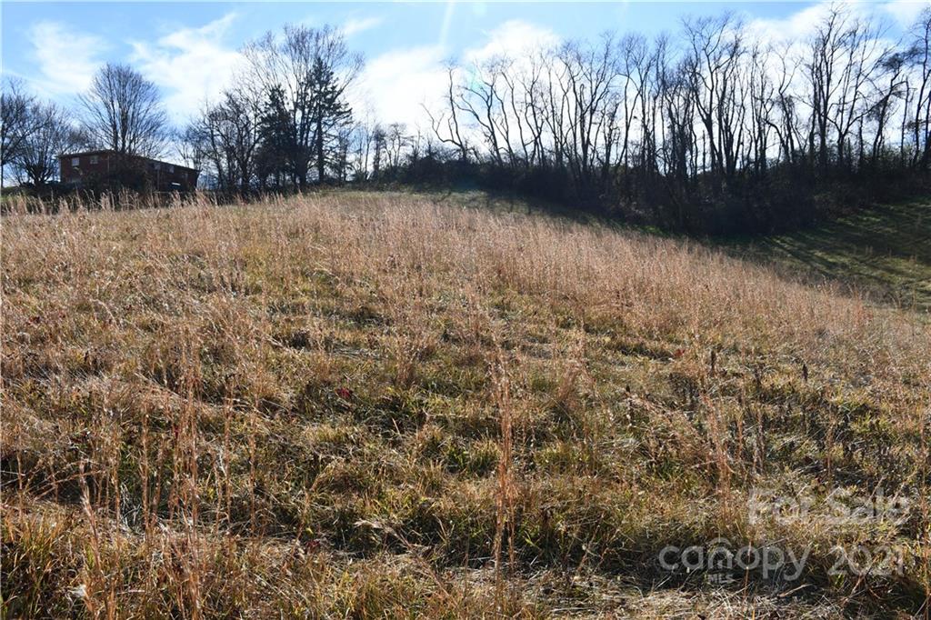 473 Phillipsville Loop Canton, NC 28716 - Photo 3 of 13 a view of a yard