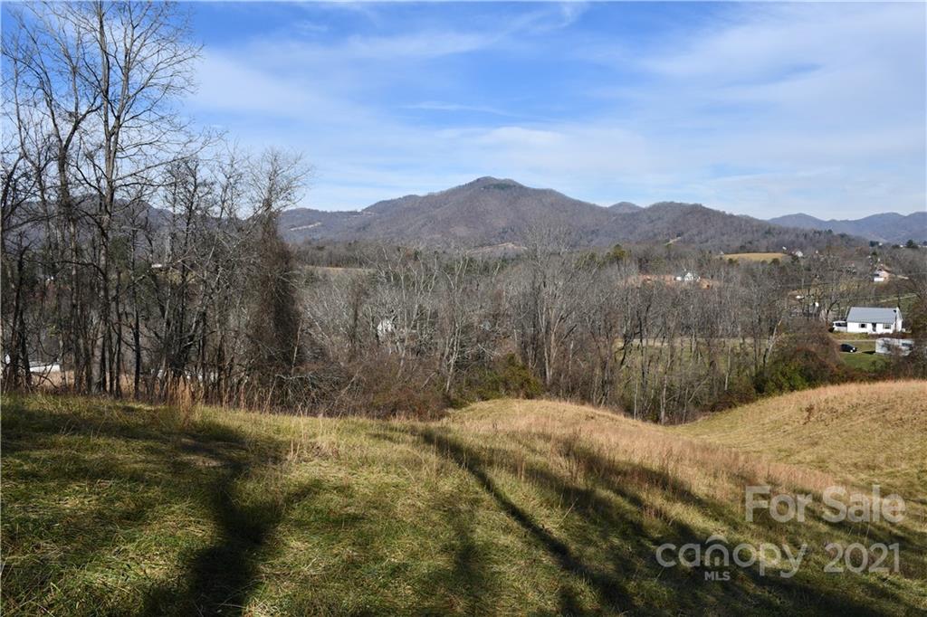 473 Phillipsville Loop Canton, NC 28716 - Photo 8 of 13 a view of a backyard with green space