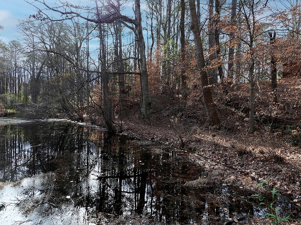 721 Woodvalley Road Southwest Mableton, GA 30126 - Photo 24 of 26 a view of forest