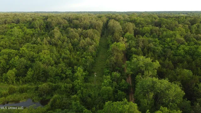 $500,000 | Lewis Lane, Starkville, MS 39759