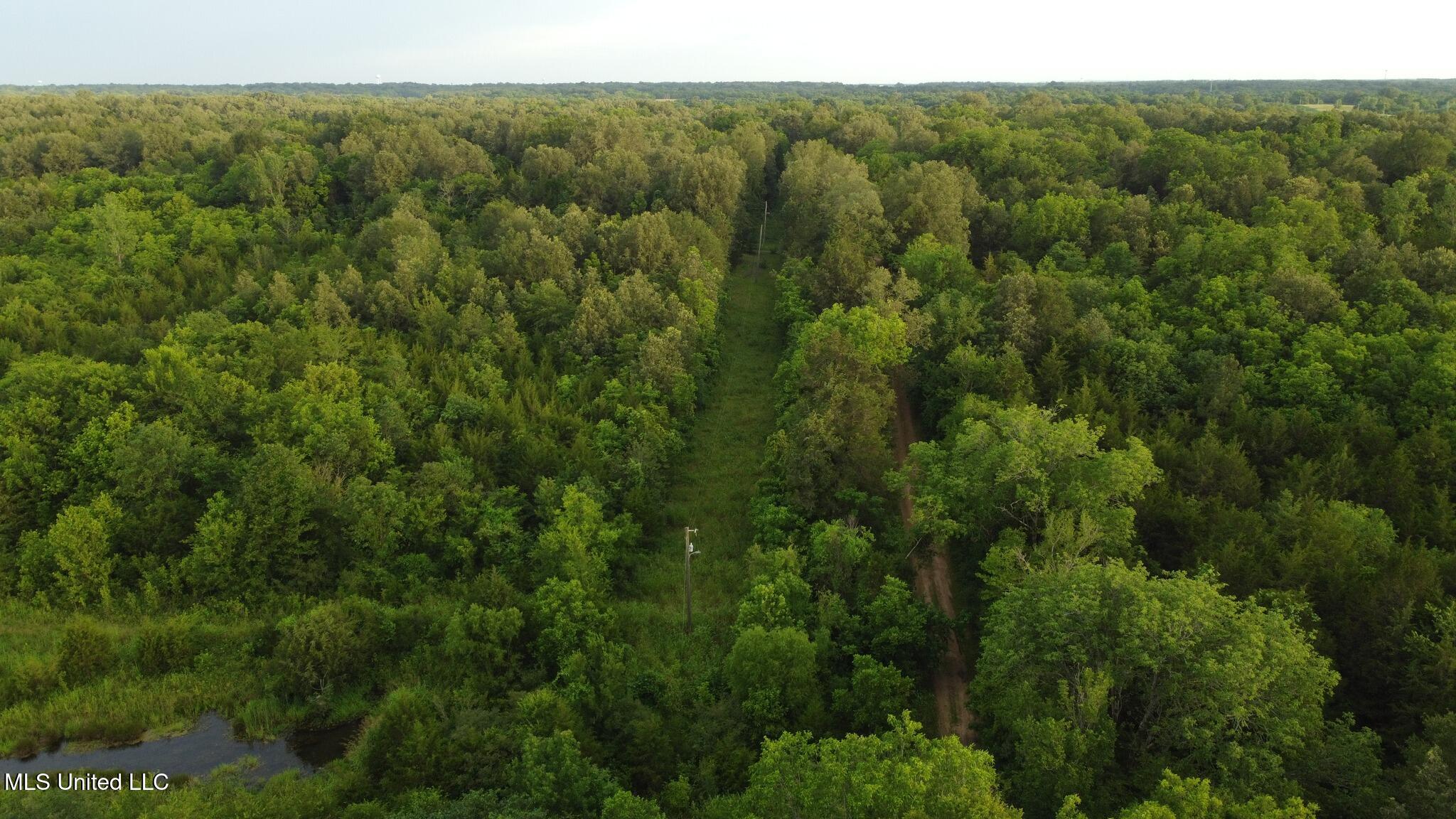 Lewis Lane Starkville, MS 39759 - Photo 3 of 14 14