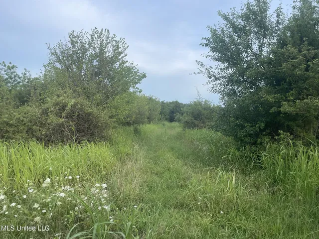 $500,000 | Lewis Lane, Starkville, MS 39759