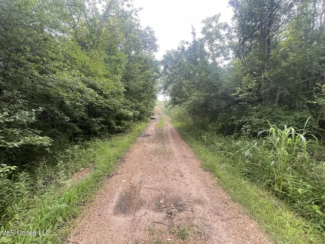 $500,000 | Lewis Lane, Starkville, MS 39759