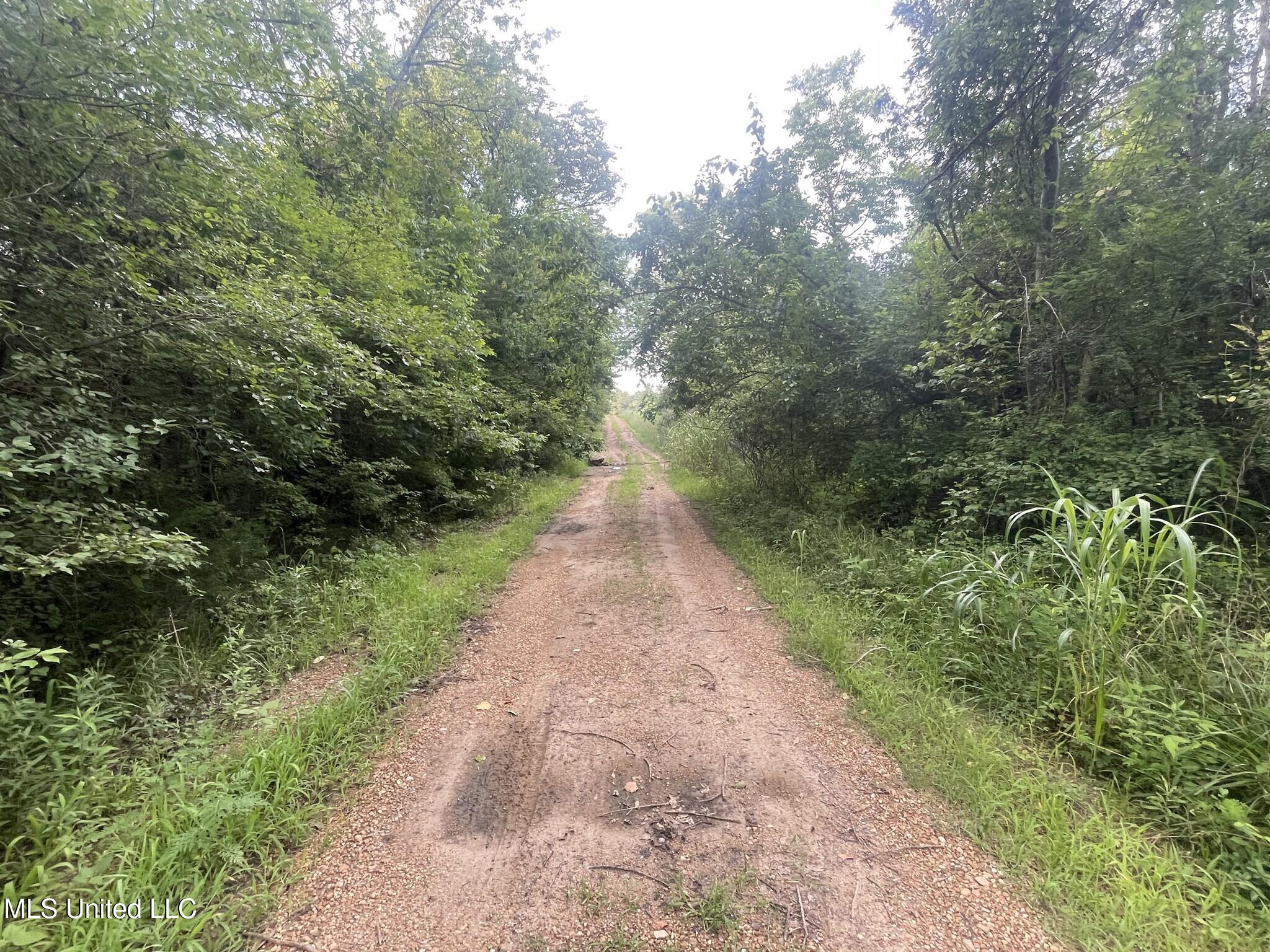 Lewis Lane Starkville, MS 39759 - Photo 10 of 14 7