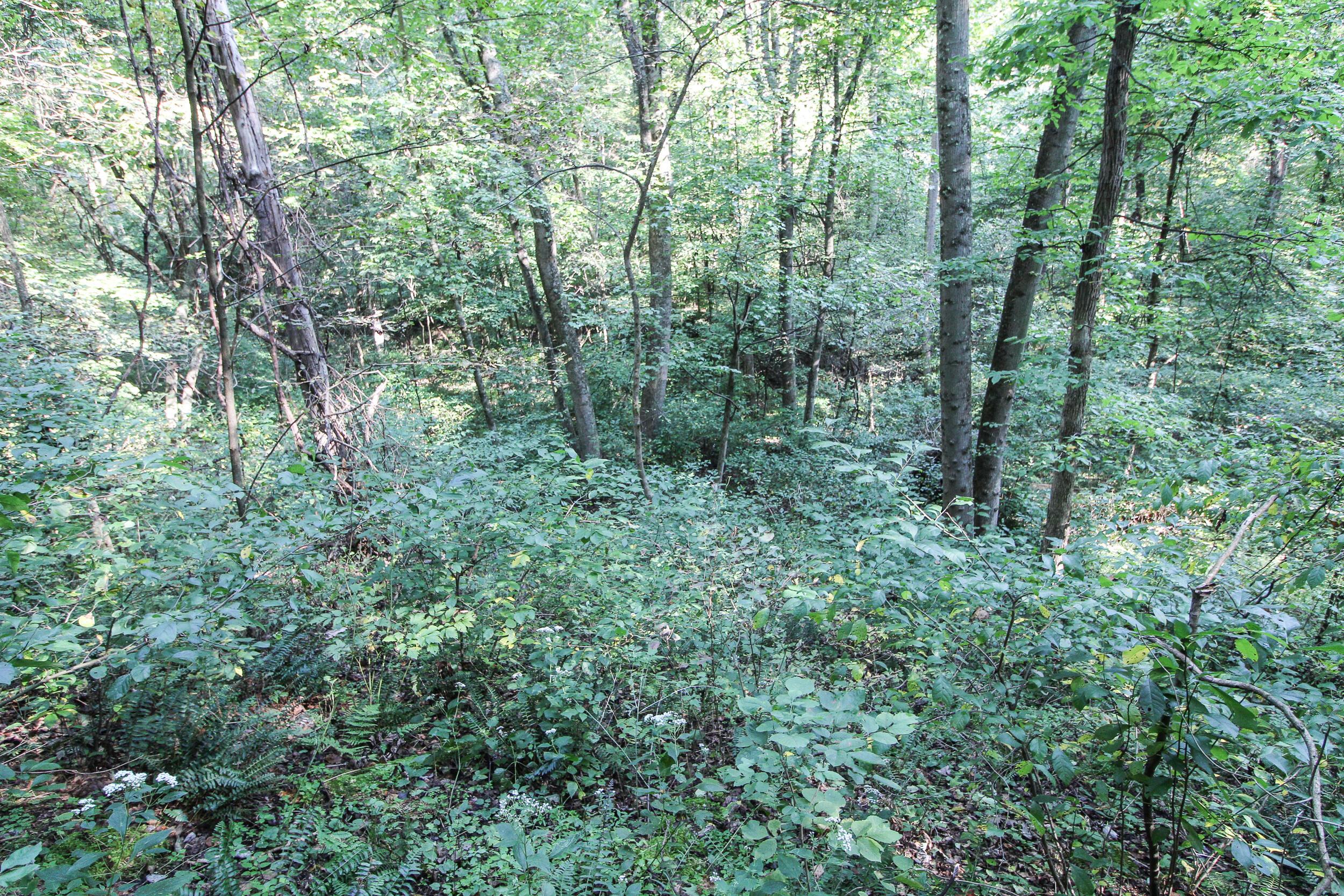 0 Southwest Post Boy Road Newcomerstown, OH 43832 - Photo 14 of 31 Gallery Image 14