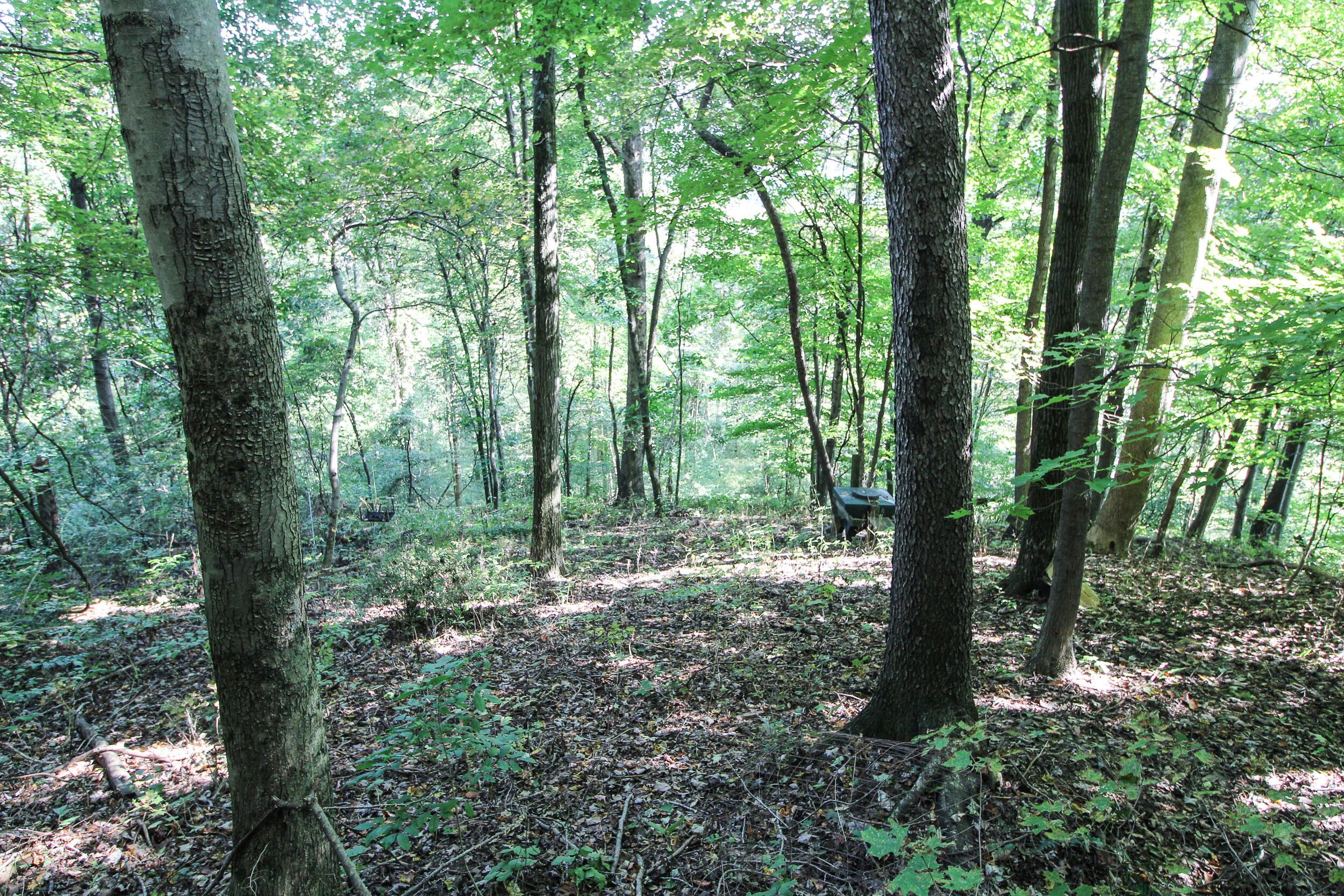 0 Southwest Post Boy Road Newcomerstown, OH 43832 - Photo 25 of 31 Gallery Image 25