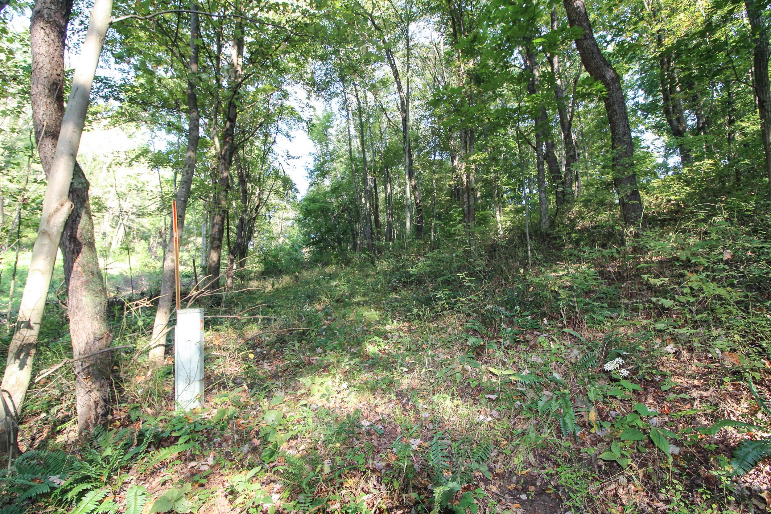 0 Southwest Post Boy Road Newcomerstown, OH 43832 - Photo 3 of 31 Gallery Image 3