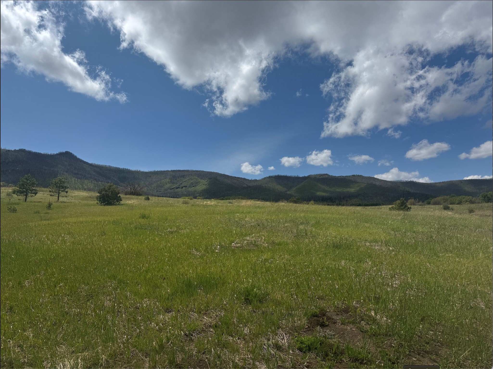 21.745-ac Los Alamitos Road Chacon, NM 87713 - Photo 4 of 10
