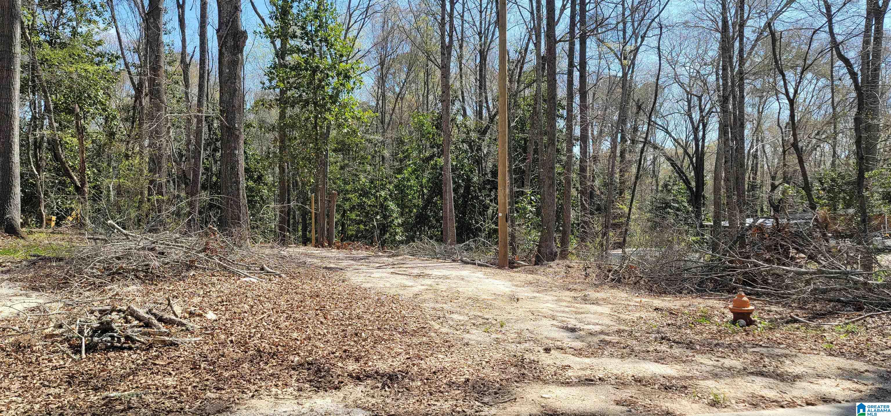 0 Osborne Street, Unit 3 ACRES Heflin, AL 36264 - Photo 6 of 11
