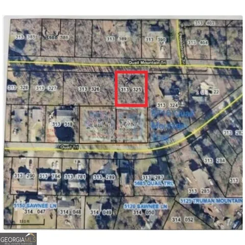 a street view with tall buildings