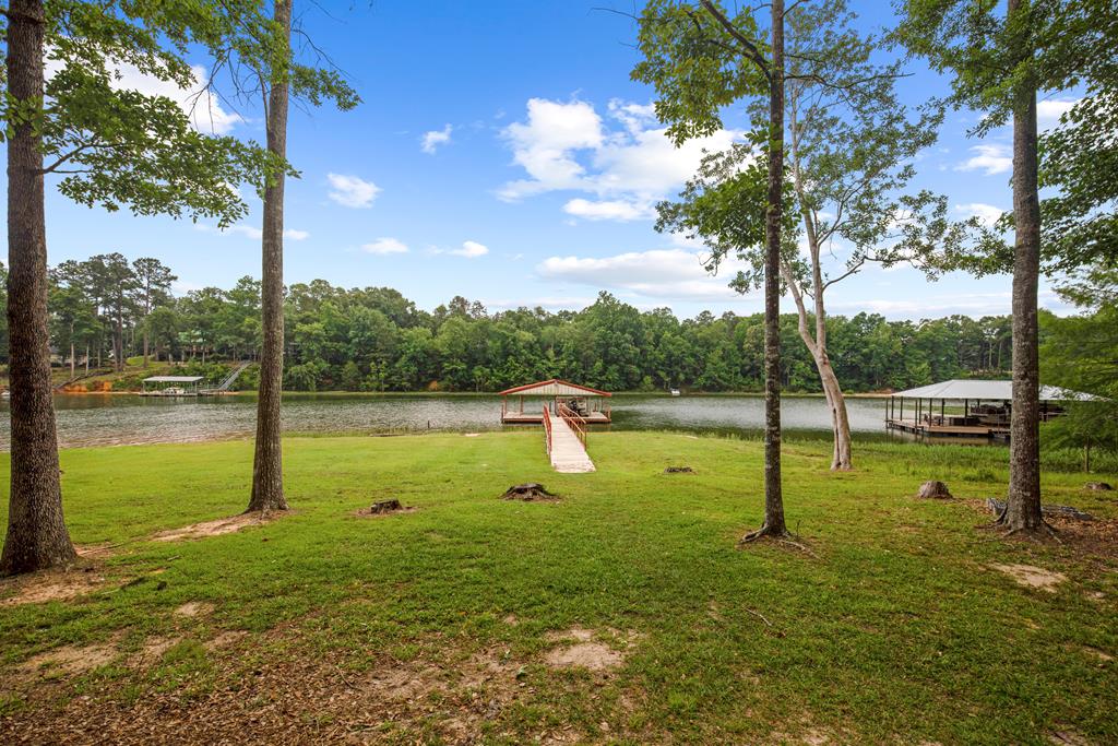 385 Cove Road Abbeville, AL 36310 - Photo 27 of 45